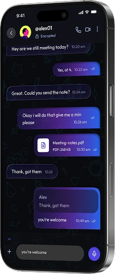Nexa chat conversation on a phone